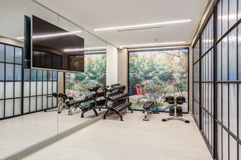 Gym with row of exercise bikes